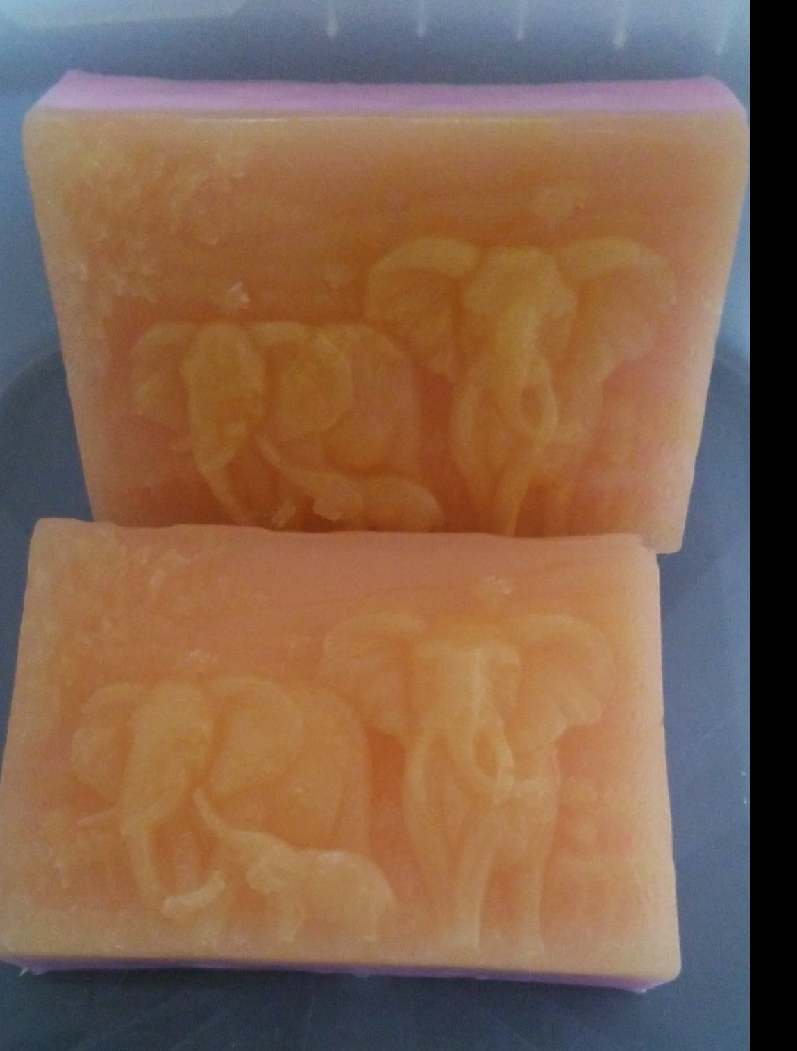 Loving The Skin You're In Elephant Family Soap